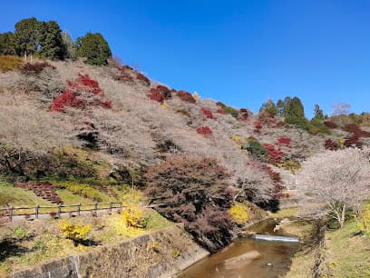 小原ふれあい公園