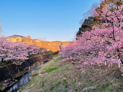 加茂川公園