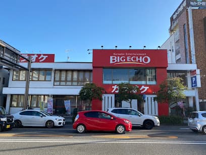 カラオケ ビッグエコー豊田店
