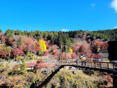 大井平公園