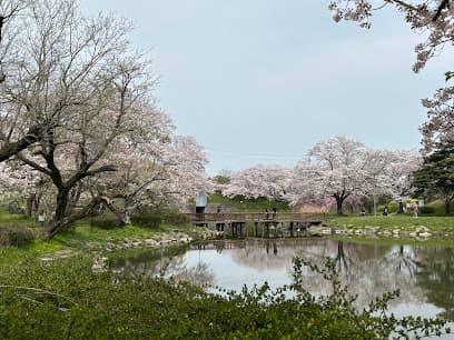 柳川瀬公園