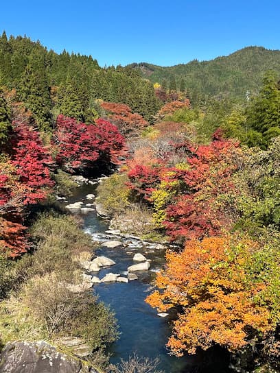 風のつり橋