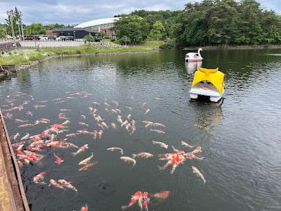 鞍ケ池公園