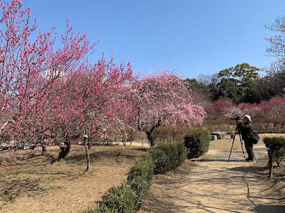 平芝公園