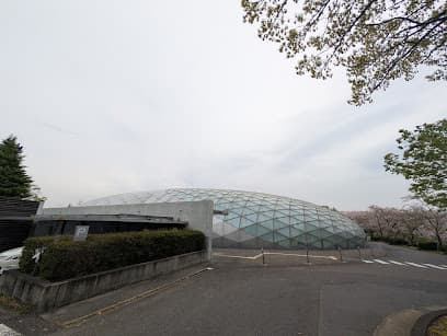 豊田市スポーツ教室 playing tags